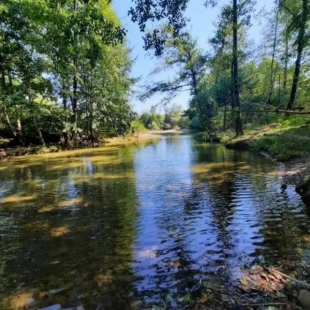 Фотография Коттеджа Частный дом на берегу реки Абин