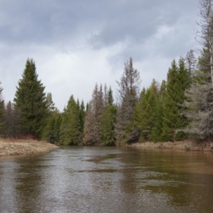 Фотография достопримечательности Висимский государственный биосферный заповедник