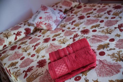 Фотография мини отеля Brio Bed & Breakfast