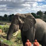 Фотография гостевого дома Hennie's Rest