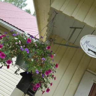 Фотографии гостевого дома
Villa Vuorenpää