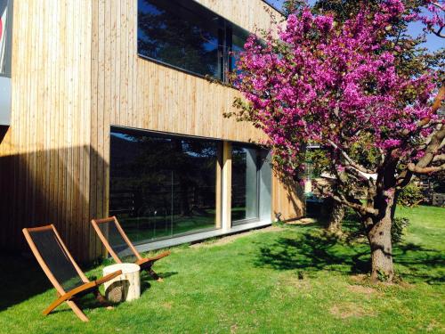 Фотография гостиницы Hotel Terra Bonansa