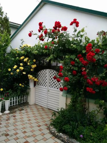 Фотография гостевого дома Времена года