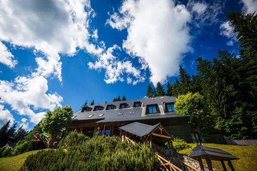 Фотография гостевого дома Horský hotel Vidly