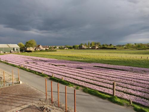 Фотографии мини отеля 
            Tulpenhoek