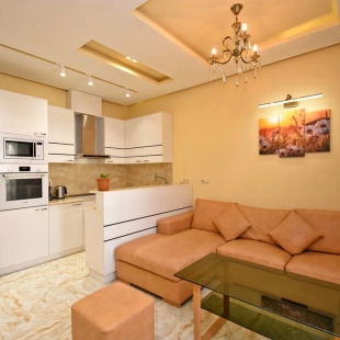 Фотография квартиры Апартаменты Амиряна 4\4 кв 23