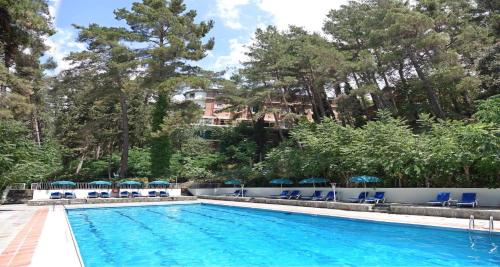 Фотография гостиницы Forest Park Hotel