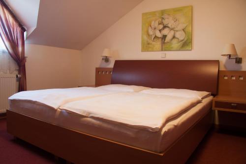 Фотография гостиницы Hotel MAGISTR Vsetín