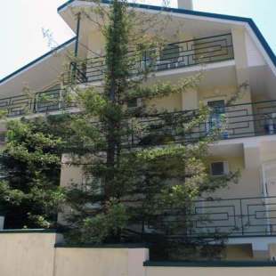 Фотография гостиницы Аледо