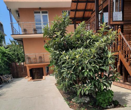 Фотография гостевого дома Мадлен