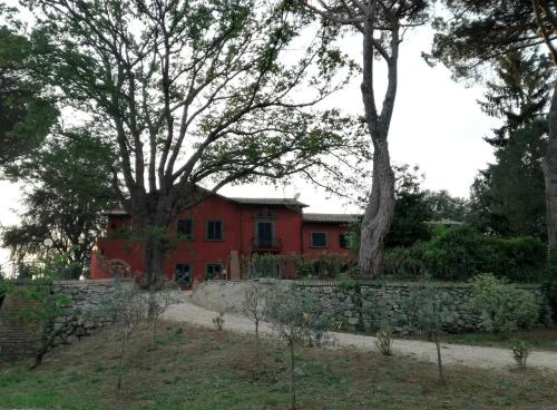 Фотография мини отеля Vigna dell'Agrifoglio - Bed and Breakfast