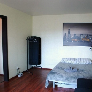 Фотография квартиры Диван и чемодан на Красном 100/1