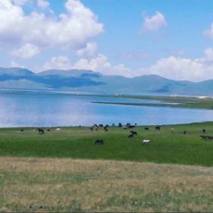 Фотография кемпинга Murat & Anara Camping