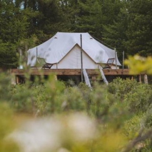 Фотография базы отдыха Лес и Море Алтай