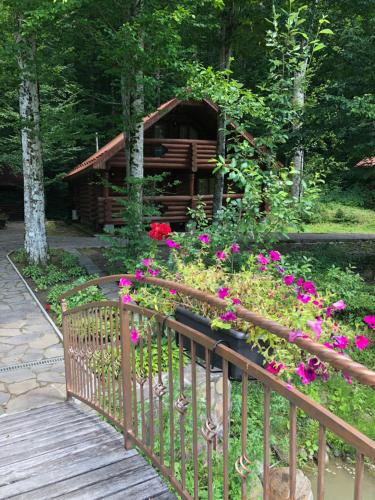 Фотографии гостевого дома 
            Мэйсон Карпаты