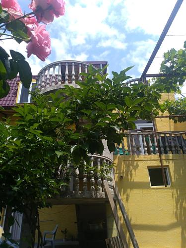 Фотография гостевого дома Why Me Eco-friendly Rooms