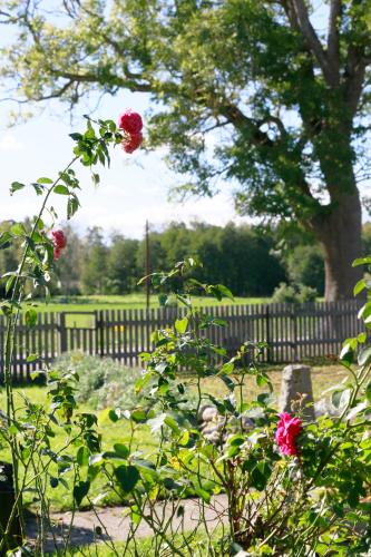 Фотография мини отеля Årröds Boställe B&B