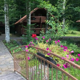 Фотография гостевого дома Мэйсон Карпаты