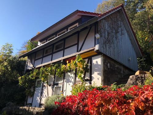 Фотография гостевого дома Harz im Glück - Fachwerkhaus für zwei in Wernigerode