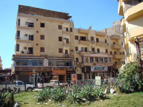 Фотография хостела Venus Hostel Luxor