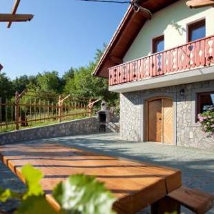 Фотографии гостевого дома
Vineyard Cottage Lustek