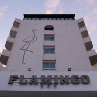 Фотография гостиницы Flamingo Beach Hotel