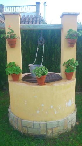 Фотография гостевого дома 2 bedrooms house with enclosed garden at Sanlucar de Barrameda 2 km away from the beach