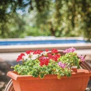 Фотография гостевого дома InmoBooking Family House Holidays