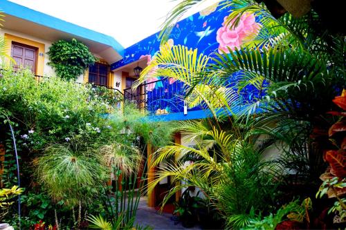 Фотография гостиницы Hotel Las Golondrinas