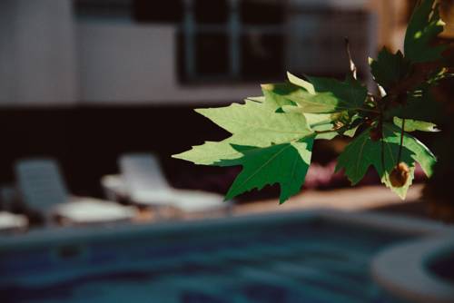 Фотографии мини отеля
Платан