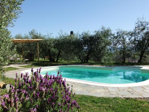 Фотография базы отдыха Agriturismo Il Castagnolino