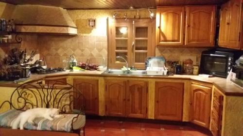 Фотографии гостевого дома
Oiseaux du Paradis