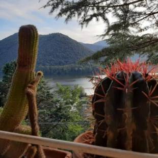 Фотографии гостевого дома
Villa bianca