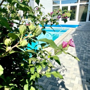 Фотография гостевого дома Континент Резорт