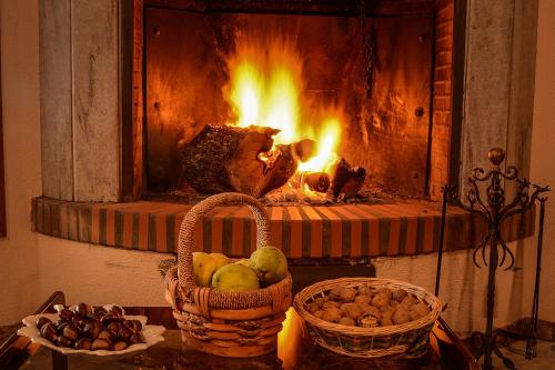 Фотография гостиницы Hotel Los Castaños