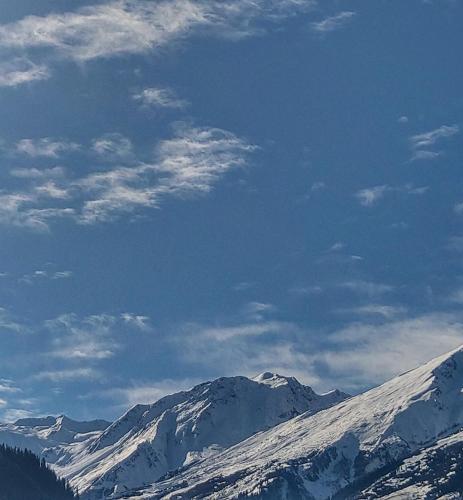 Фотография гостевого дома White lotus guest House &cafe tosh