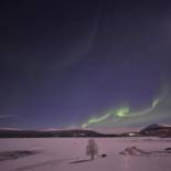 Фотография гостевого дома Ylläksen Yöpuu