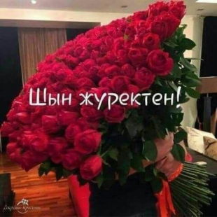 Фотография хостела Жанаозен