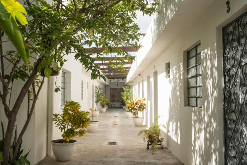 Фотография хостела El Tigre de Santiago