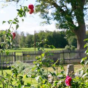 Фотографии мини отеля 
            Årröds Boställe B&B