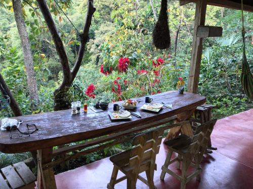 Фотография базы отдыха Finca San Rafael - Cafe y Cacao