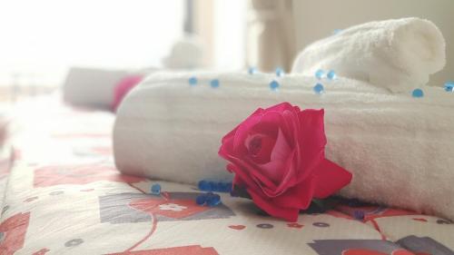 Фотография мини отеля B&B Donn'anna