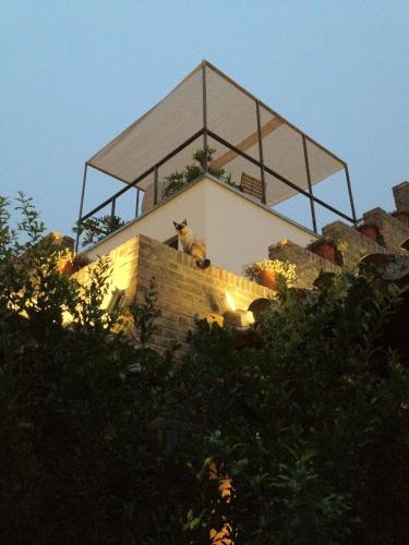 Фотография гостиницы The Orchid Hotel - Old Town & Drum Tower