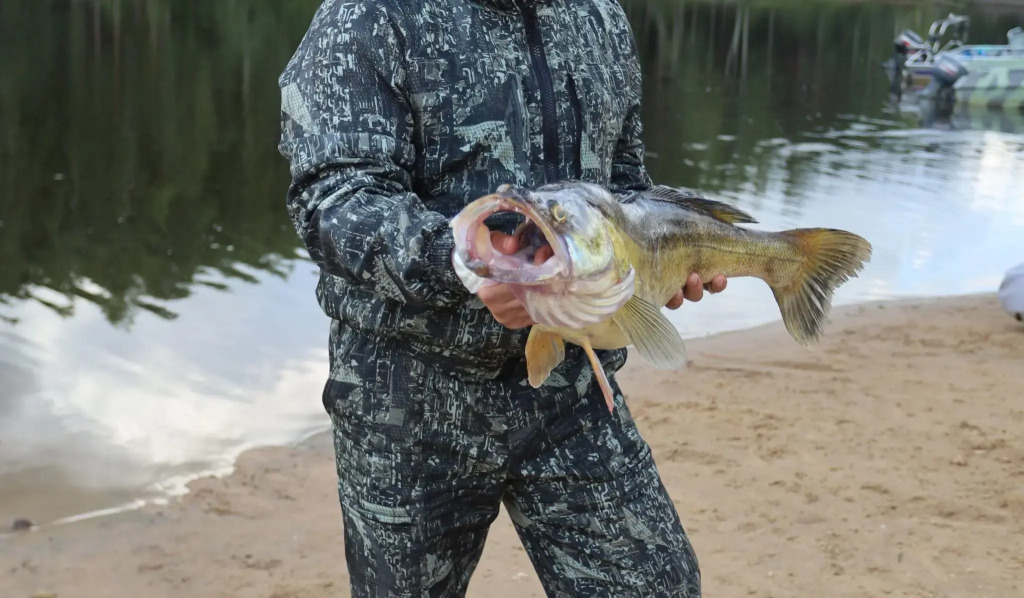 Фотография Коттеджа Заповедный Край