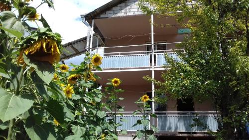 Фотография мини отеля Flower Garden