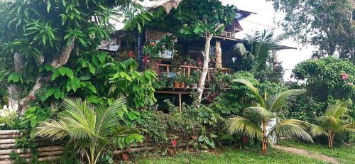 Фотография гостевого дома Refugio Maiku Puerto Nariño