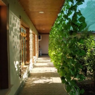 Фотография гостиницы Мотрид