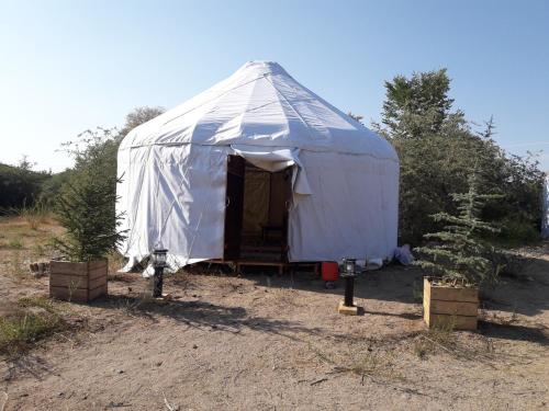 Фотография кемпинга BUGU YRT