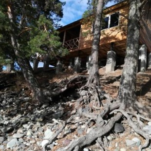 Фотография мини отеля Зеленые Холмы