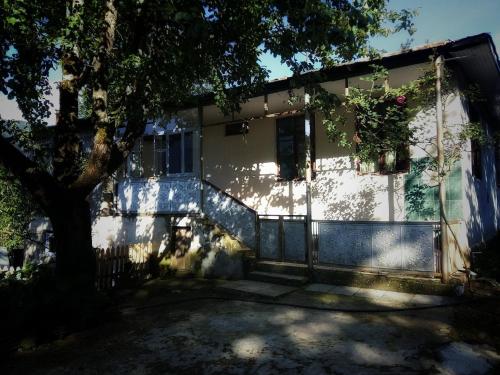 Фотография гостевого дома Guest House Noe